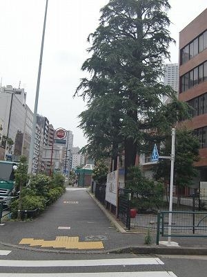 0629重松先生⑦