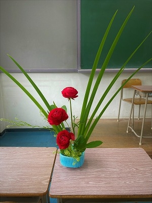 IMG-4837