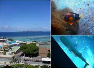 高校修学旅行（沖縄）③