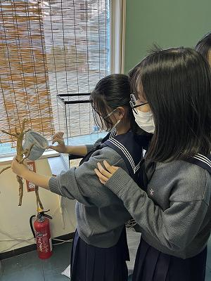 230606　生物部モモンガ